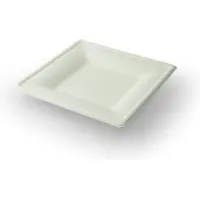 Sier disposables 40 st. 40st. Mondial suikerriet bord vierkant - Medium