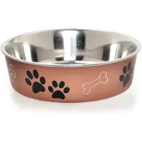 Loving Pets Honden Voerbak & Drinkbak - Vaatwasmachinebestendig, met Antislip en Antibacteriële RVS binnenzijde - Bella Bowl - 8 kleuren in Small tot Extra-Large - Kleur: Copper, Maat: Medium - 750ml