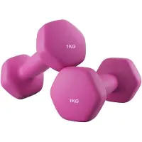 Songmics - Dumbells - Dumbells 1 kg - Hexagon Dumbells - 2 Stuks van 1 kg - Voor Krachttraining Thuis