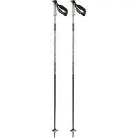 Salomon Polar Pro S3 Stokken