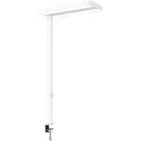 MAUL MAULjaval 8258302 LED-tafellamp LED Lichtbron vervangbaar door elektricien 64 W Wit