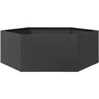 vidaXL Plantenbak zeshoek 138x120x45 cm staal zwart