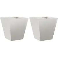 vidaXL Plantenbakken 2 st 30x30x30 cm roestvrij staal