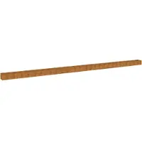 vidaXL Plantenbak verhoogd 1152x50x36 cm cortenstaal