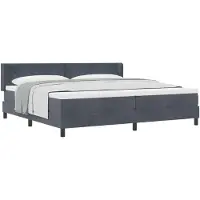 vidaXL Boxspring bed met hoofdeinde Donkergrijs 200 x 200 cm Fluweel