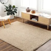Livabliss - SOSO Effen Beige Zacht Hoogpolig Shaggy Tapijt