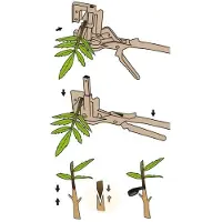 Stocker Top Grafting Machine