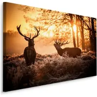 Karo-art Schilderij - 2 Herten in de Ochtendzon, Premium Print