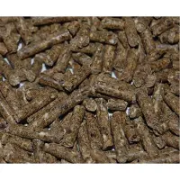 Rotech Spuit lokmiddel voor muizen en ratten