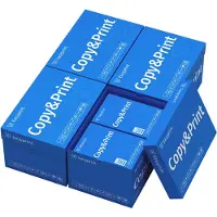 Easyprint NIEUW: Printerpapier Kopieerpapier 20000 Vel 40 x 500 A4 Premium Extra Wit CIE 160 Testwinnaar PEFC-gecertificeerd