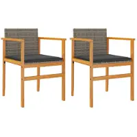 vidaXL Tuinstoelen met kussens, 2 stuks, grijs, polyrotan, massief hout