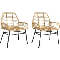 vidaXL Tuinstoel bruin poly rattan 2 st