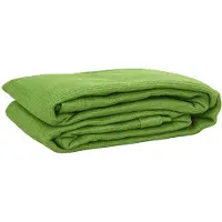 vidaXL Tenttapijt 300x400 cm HDPE lichtgroen