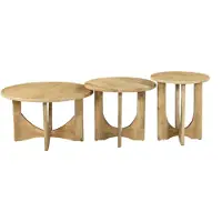 Bommel Wonen Salontafel set van 3 Bodino - rond 70/55/45 cm - Mangohout Loom Naturel