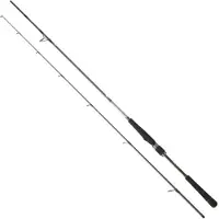 Daiwa Saltist Seabass Spinning Rod Zilver 2.13 m / 7-28 g