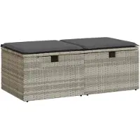 vidaXL 2-delige Loungeset met kussens poly rattan acacia lichtgrijs