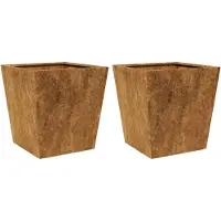 vidaXL Plantenbakken 2 st 40x40x40 cm weervast staal