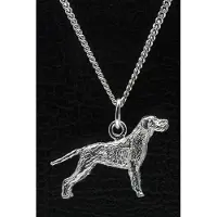 MOOYE ® - Collectie Zilveren Vizsla staande hond draadhaar met staart ketting hanger - groot