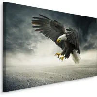 Karo-art Schilderij - Adelaar in de Storm, Premium Print
