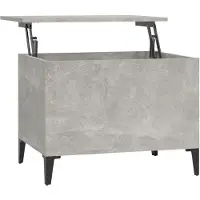 vidaXL Salontafel 60x44,5x45 cm bewerkt hout betongrijs