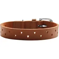 Hunter Hondenhalsband Aalborg Soul Cognac Maat 45