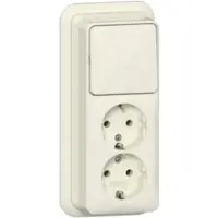 Technische Unie Gira Combinatie Wipschakelaar/Dubbele Wandcontactdoos Met Randaarde - 16 A - 250 V
