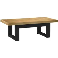 vidaXL Salontafel NOAIN U-vormige poten 120x60x40 cm massief hout