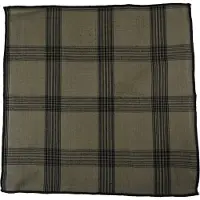 Mars & More Black Check Servet sage 40x40cm (set of 2)