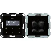 Gira Inbouwradio RDS (VHF), Radio, Zwart