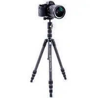 Vanguard Vesta TB 204CB
