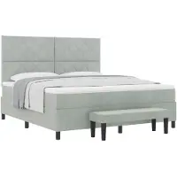 vidaXL Boxspring bed met hoofdeinde Lichtgrijs 200 x 180 cm Fluweel
