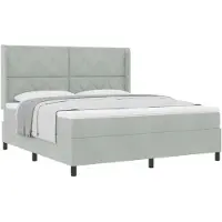 vidaXL Boxspring bed met hoofdeinde Lichtgrijs 180 x 200 cm Fluweel