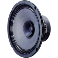 Visaton BG 17 - 8 Ohm -16 cm (6.5") full-range luidspreker