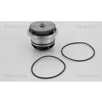 TRISCAN 8600 29985 Waterpomp