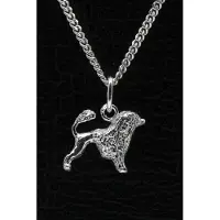 MOOYE ® - Collectie Zilveren Cao de aqua ketting hanger - klein