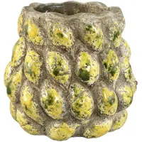 Ptmd pot fruitsy - 21.5x21.5x20.5cm