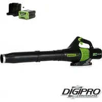 Greenworks 60V accu bladblazer + 2 Ah accu