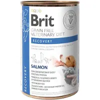 Brit Veterinary Diet Veterinary Diet Recovery Salmon Herstelvoer voor honden en katten 12x400g