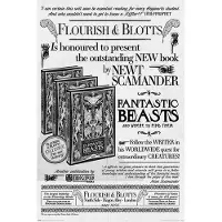 Harry Potter Fantastic Beasts 2 Flourish & Blotts Poster 61x91.5cm