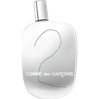 Comme des Garcons 2 - 100 ml Eau de Parfum Spray