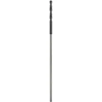 Bosch Accesorios 10x87x400 Mm Houtboor