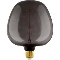 Eglo LED Lamp - E27 - Ø 19 cm - G190 - Zwart - 2000K - Dimbaar