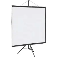 vidaXL Projectiescherm met statief 67 inch 1:1