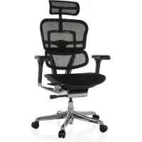 Hjh OFFICE Bureaustoel / directiestoel ERGOHUMAN GEN2 Zitting stof / rugleuning mesh zwart