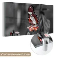 MuchoWow - Glasschilderij - Foto op glas - Acrylglas - Dieren - Vlinder - Bloemen - Natuur - Oranje - Muurdecoratie - 120x60 cm - Wanddecoratie glas - Glasschilderij vlinder