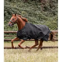 Waldhausen Nordic 200 gr - Winterdeken - Paardendeken - 135/185 - Zwart