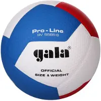 Gala Volleybalbal Pro Line Bv 5585s