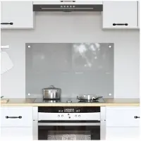 vidaXL Keukenachterwand Lichtgrijs 80 x 50 cm gehard glas