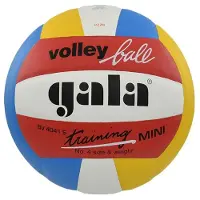 Gala Volleybalbaltraining Mini Kleur Bv4041s
