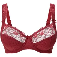 Lingadore BH bordeaux